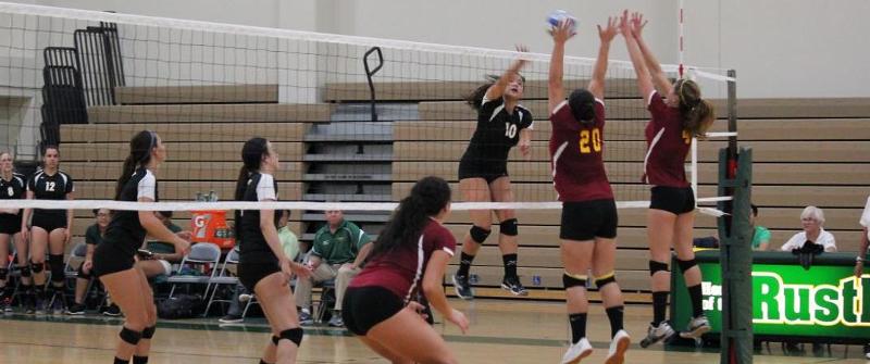 Rustlers Rebound with a Sweep