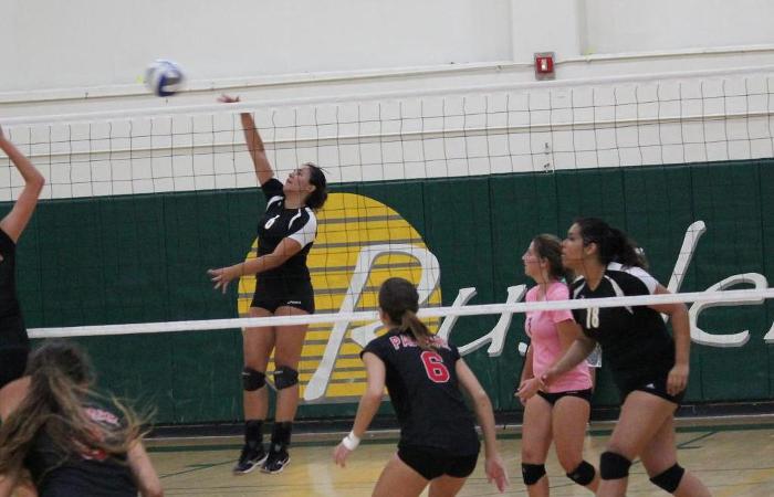 Rustler Volleyball Starts Season with a Sweep