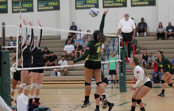 Women's Volleyball Take Down the Dons