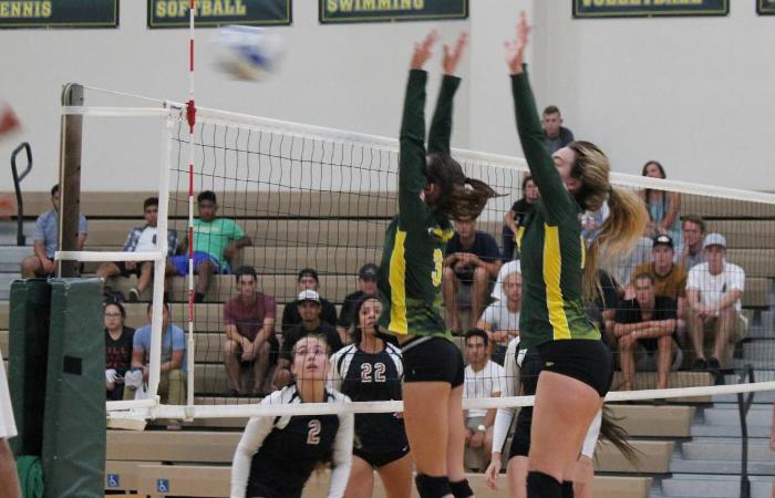 The Rustlers Get Back on Track with 3-0 Sweep