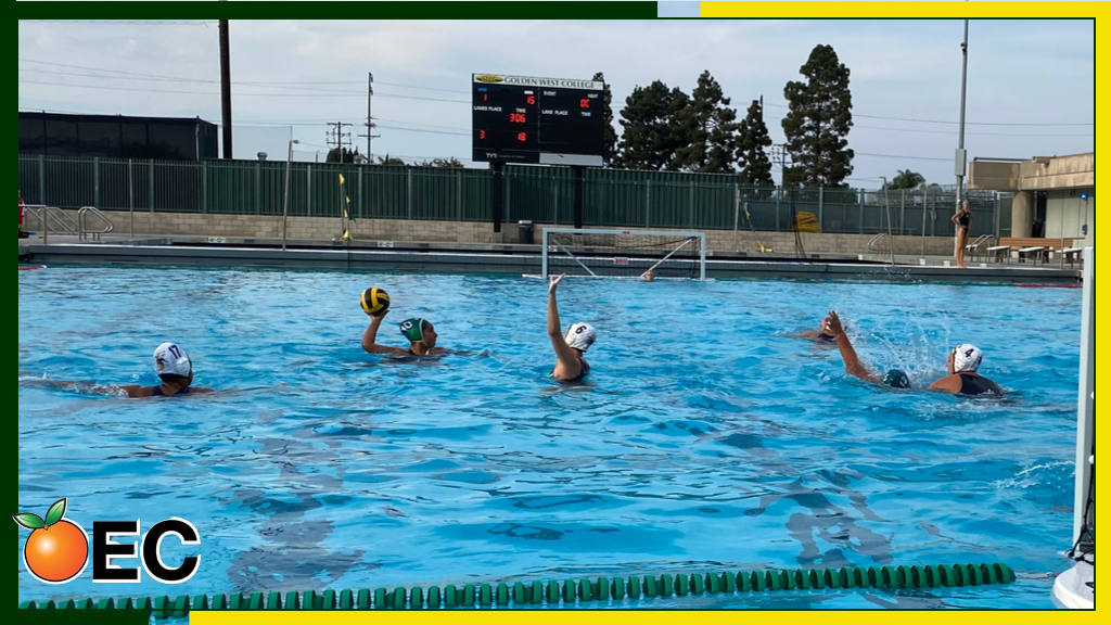 W Water Polo: Stung by the Hornets at Home
